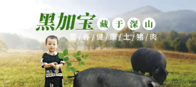 黑加寶品牌logo與食品包裝設(shè)計(jì)欣賞(圖4)