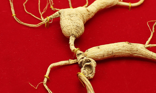 金立華 金立華品牌logo與食品包裝設(shè)計(jì)欣賞(圖4)