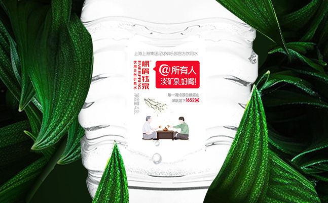 峨眉鈺泉品牌logo與食品包裝設(shè)計(jì)欣賞(圖2)