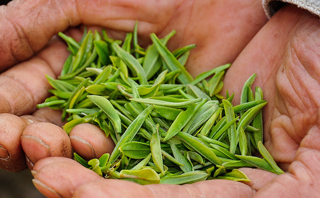 金香品雪食品包裝設(shè)計(jì)欣賞(圖3)