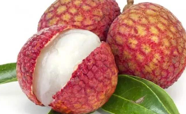 果之友食品包裝設(shè)計(jì)欣賞(圖3)