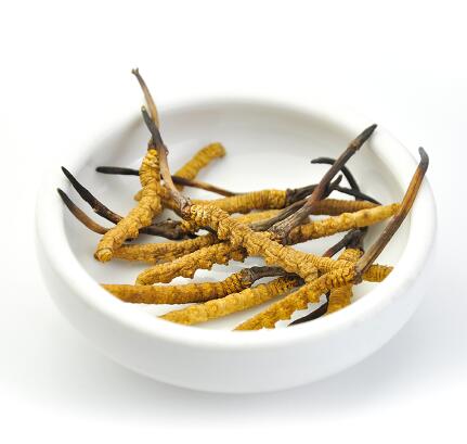 東陽光食品包裝設(shè)計欣賞(圖2)