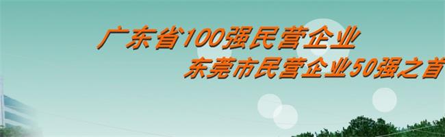 白蓮牌食品包裝設(shè)計欣賞(圖4)