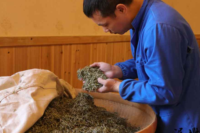 白毫銀針 白毫銀針食品包裝設(shè)計(jì)欣賞(圖3)