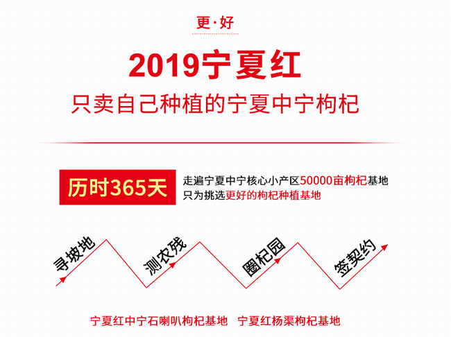 寧夏紅食品包裝設計欣賞(圖3)