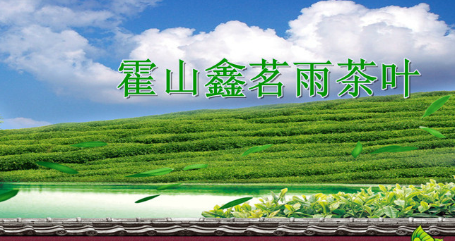 鑫茗雨霍山黃芽 鑫茗雨食品包裝設(shè)計(jì)欣賞(圖4)