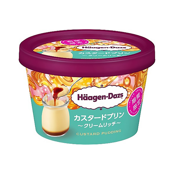 包裝設(shè)計公司推薦哈根達(dá)斯迷你杯蛋奶布丁奶油里奇包裝設(shè)計欣賞(圖1)