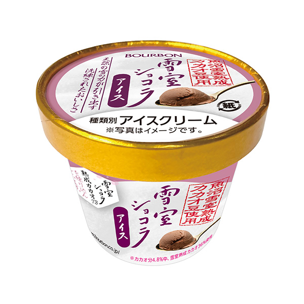 雪室巧克力冰淇淋波旁食品飲料包裝設(shè)計(jì)(圖1)